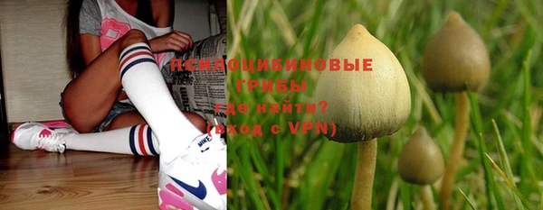 хмурый Михайлов