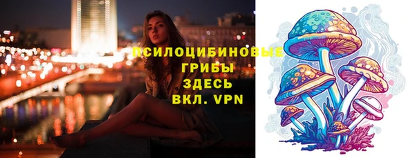 хмурый Михайлов