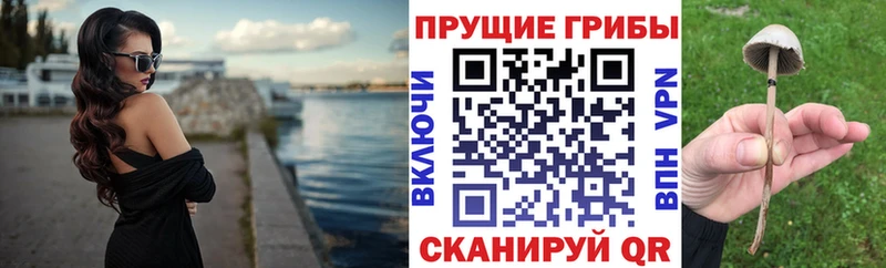 Псилоцибиновые грибы мицелий  Ивдель 